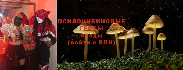 тгк Балахна