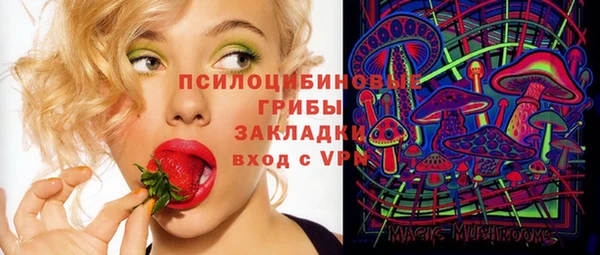 тгк Балахна